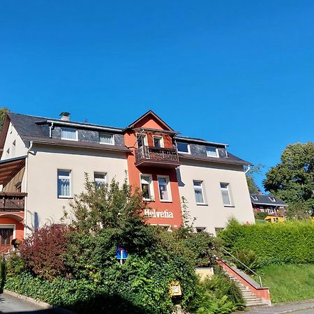 Villa Helvetia Bad Elster Ngoại thất bức ảnh